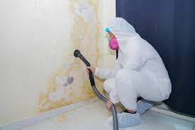 Best Biohazard Mold Removal  in Antelope, CA